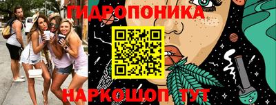 твердый Лесосибирск