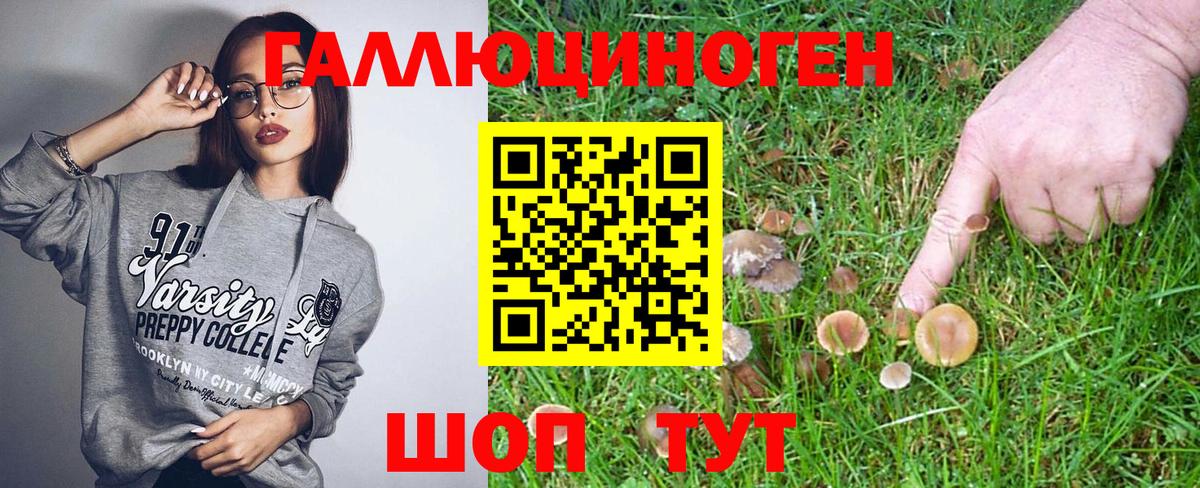 Добрянка  Галлюциногенные грибы GOLDEN TEACHER  Псилоцибиновые грибы мицелий  Вход с VPN 